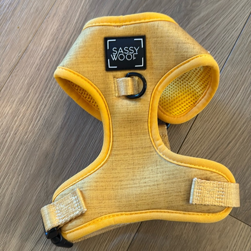 sassy woof  Harness and Leash Set